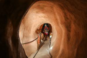 BIB: 
                            <button type="button" onclick="openModal(26241704)" class="btn btn-primary btn-sm float-right btn-popup" data-toggle="modal" data-target=".modal-high-quality">
                        <i class="fas fa-shopping-cart"></i> Add to Cart
                    </button>
                                            <button type="button" onclick="isThisMe(26241704, true)" class="btn btn-success btn-sm float-right btn-popup btn-isme hidden" data-toggle="tooltip" data-placement="bottom" title="นี่คือรูปของคุณใช่ไหม คลิกที่นี่เพื่อเอาเข้าอัลบั้ม">
                        <i class="fas fa-plus"></i> Add to album
                    </button>
                    <button type="button" onclick="isThisMe(26241704, false)" class="btn btn-warning btn-sm float-right btn-popup btn-isnotme hidden">
                        <i class="fas fa-ban"></i> Remove from album
                    </button>